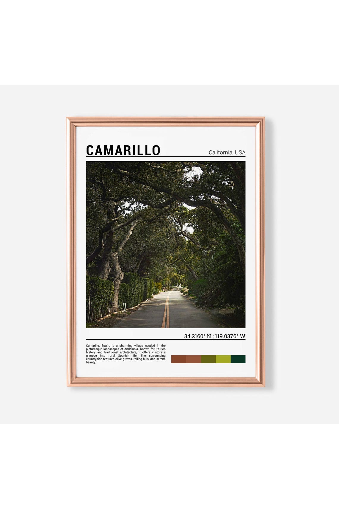 Camarillo California Tree Lined Country Road Oak Trees Travel Poster