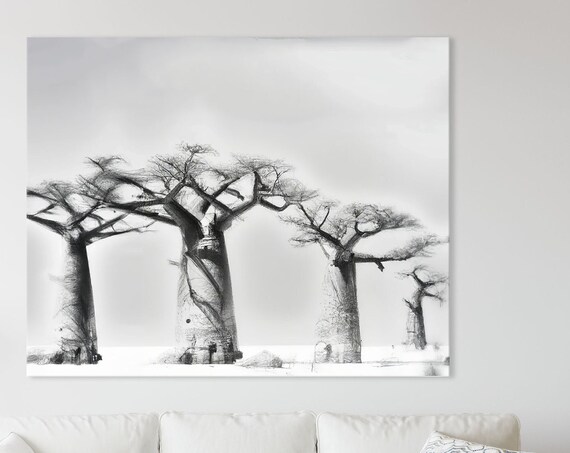 Pencil Art Of Baobab Trees In Africa Black And White Wall Instant Home Dcor Sketch