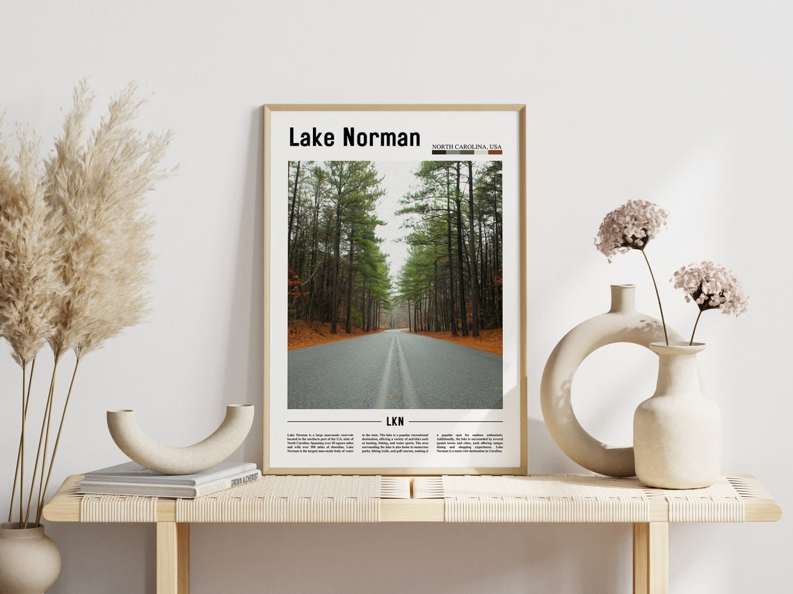 Lake Norman North Carolina Travel Poster Pine Forest Road Photo View - Image 3