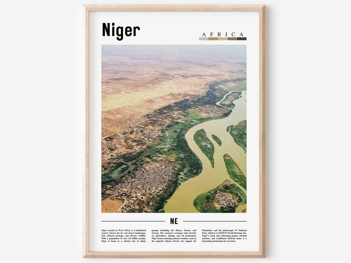 Niger Africa Aerial River Delta Landscape Minimalist Art Poster