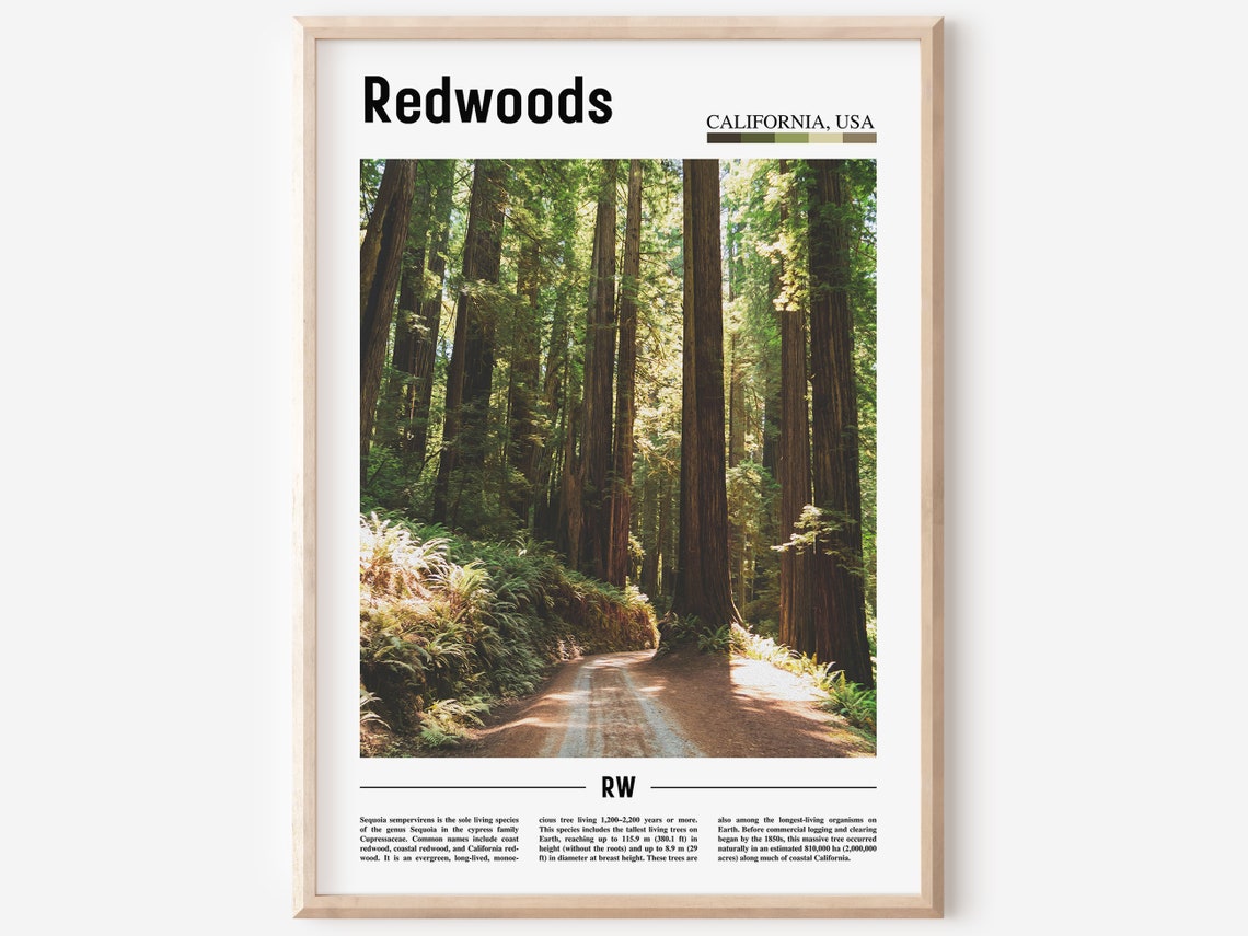 Redwoods Print Redwoods Poster Redwoods Wall Art Minimal Travel Print Minimal City Poster Travel Destination Print Oil Painting Poster