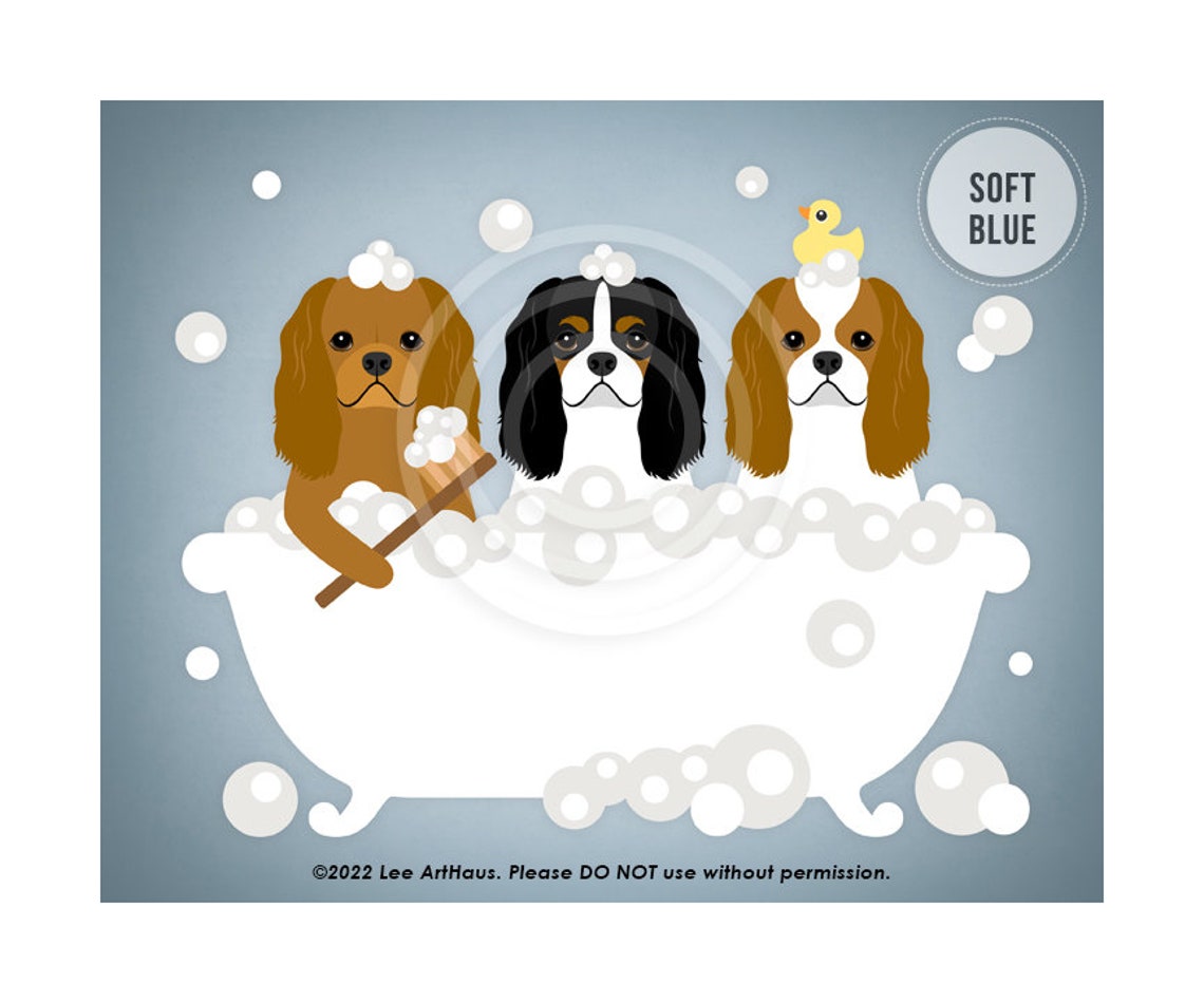 Three Cavalier King Charles Spaniels Bubble Bath Duckies Poster - Image 2