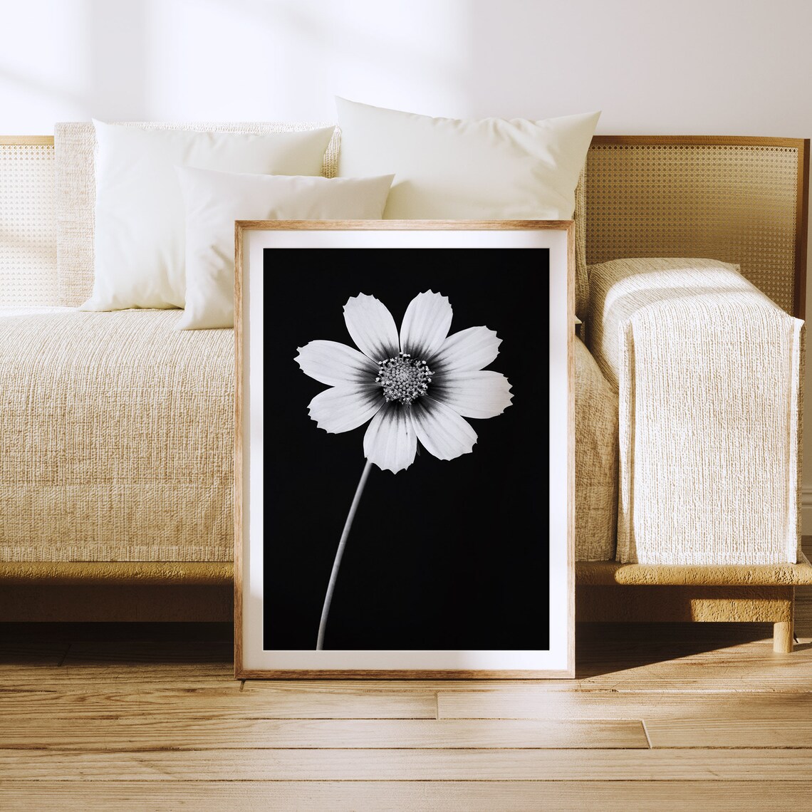 Cosmos Flower, Black And White Botanical Art Print - Image 3