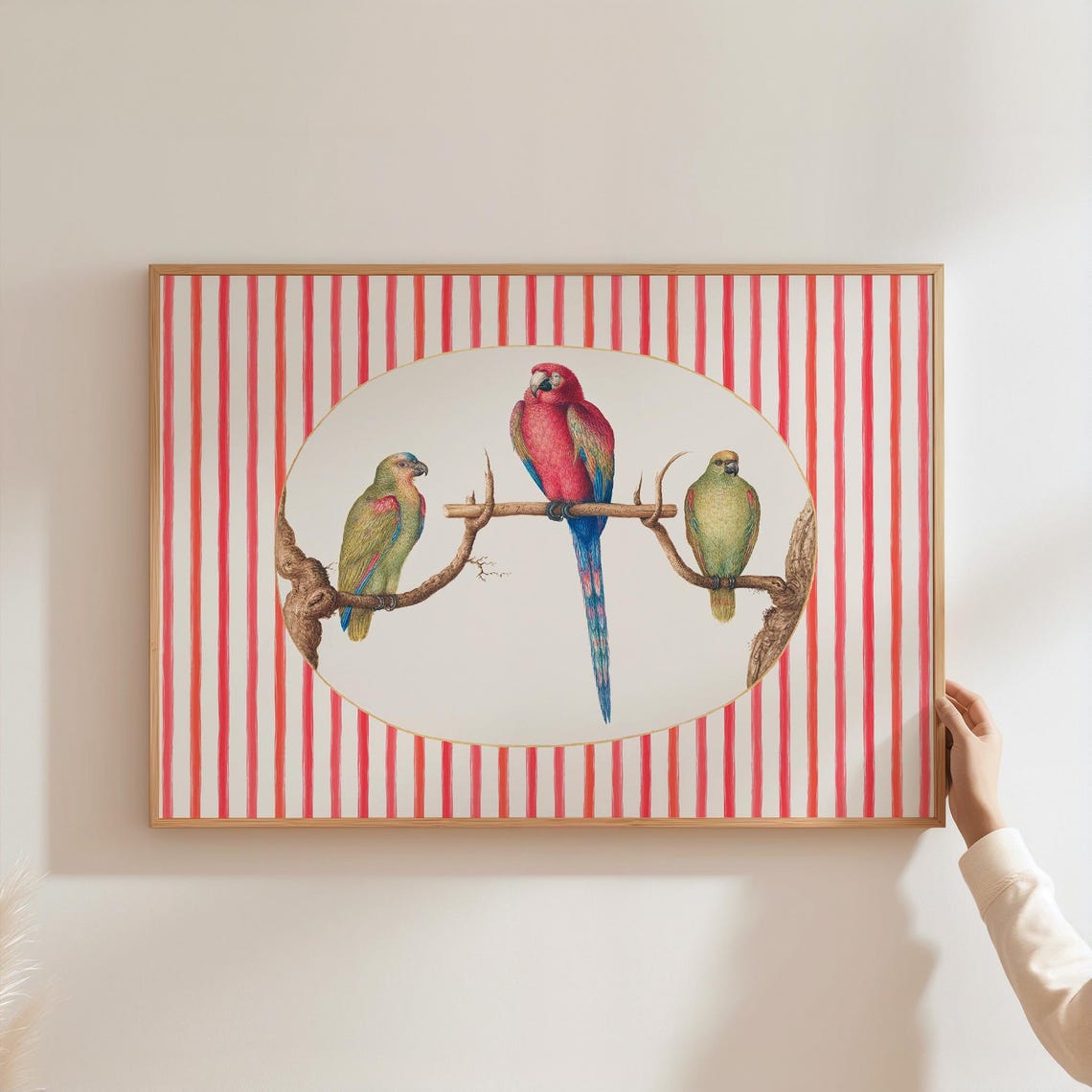 Vintage Parrot Trio Scarlet Macaw Illustration Striped Decor Poster