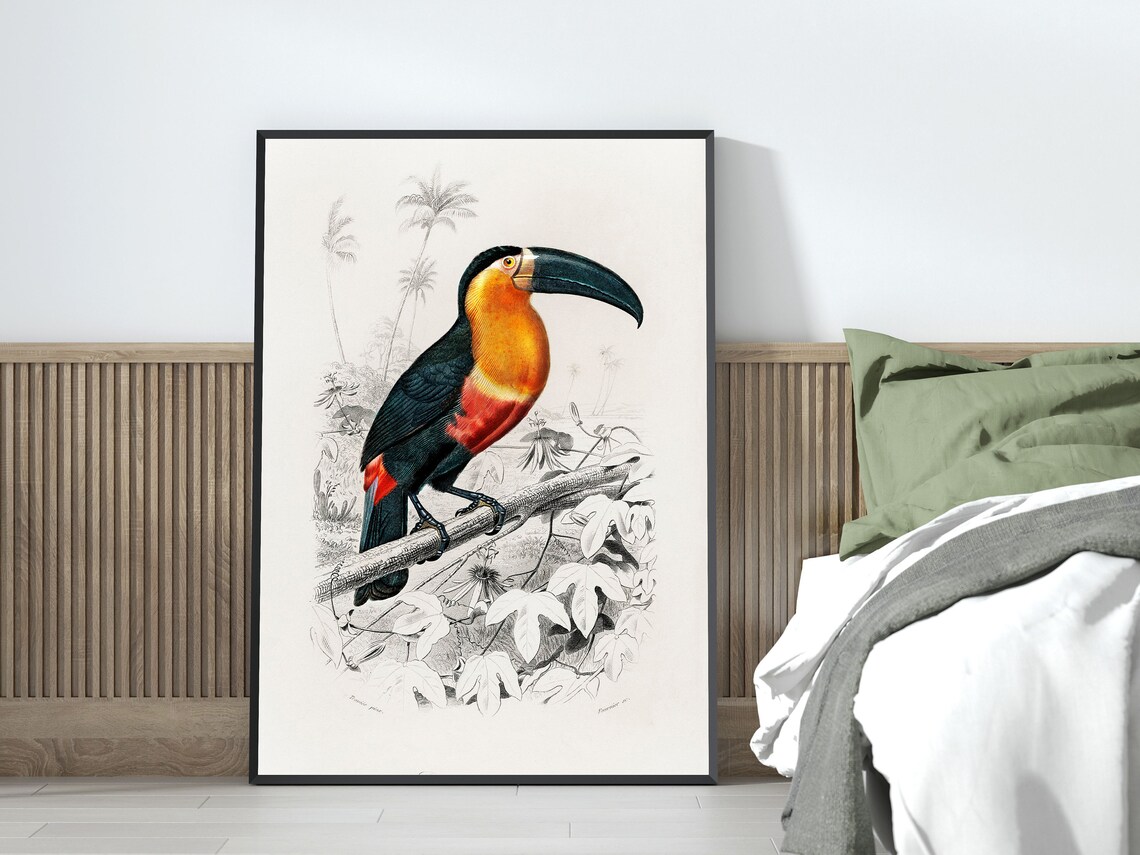 Classic Vintage Toucan Illustration Natural History Bird Art Poster - Image 4