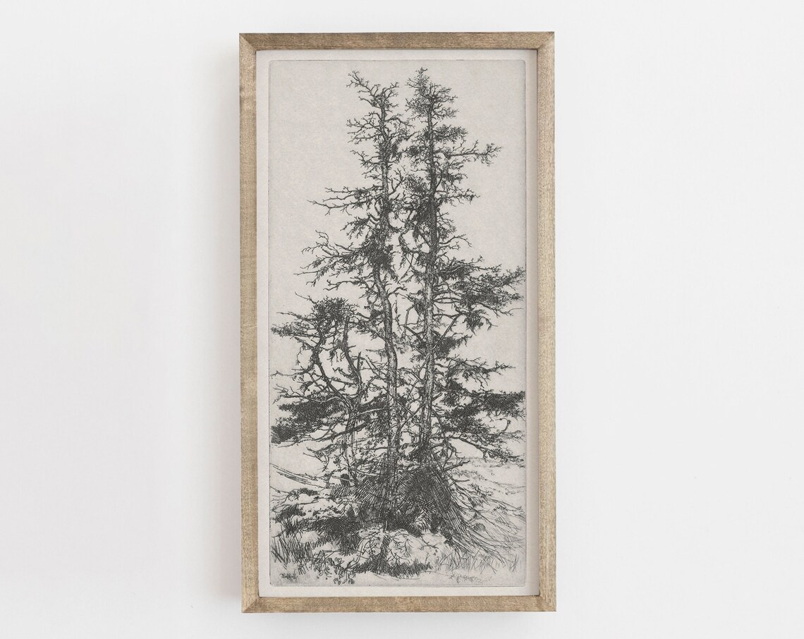 Vintage Tree Sketch Botanical Forest Art Print