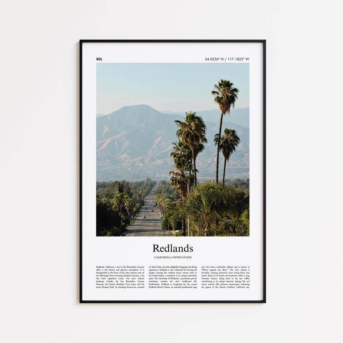 Redlands Palm Lined Avenue Mountain View California Travel Poster