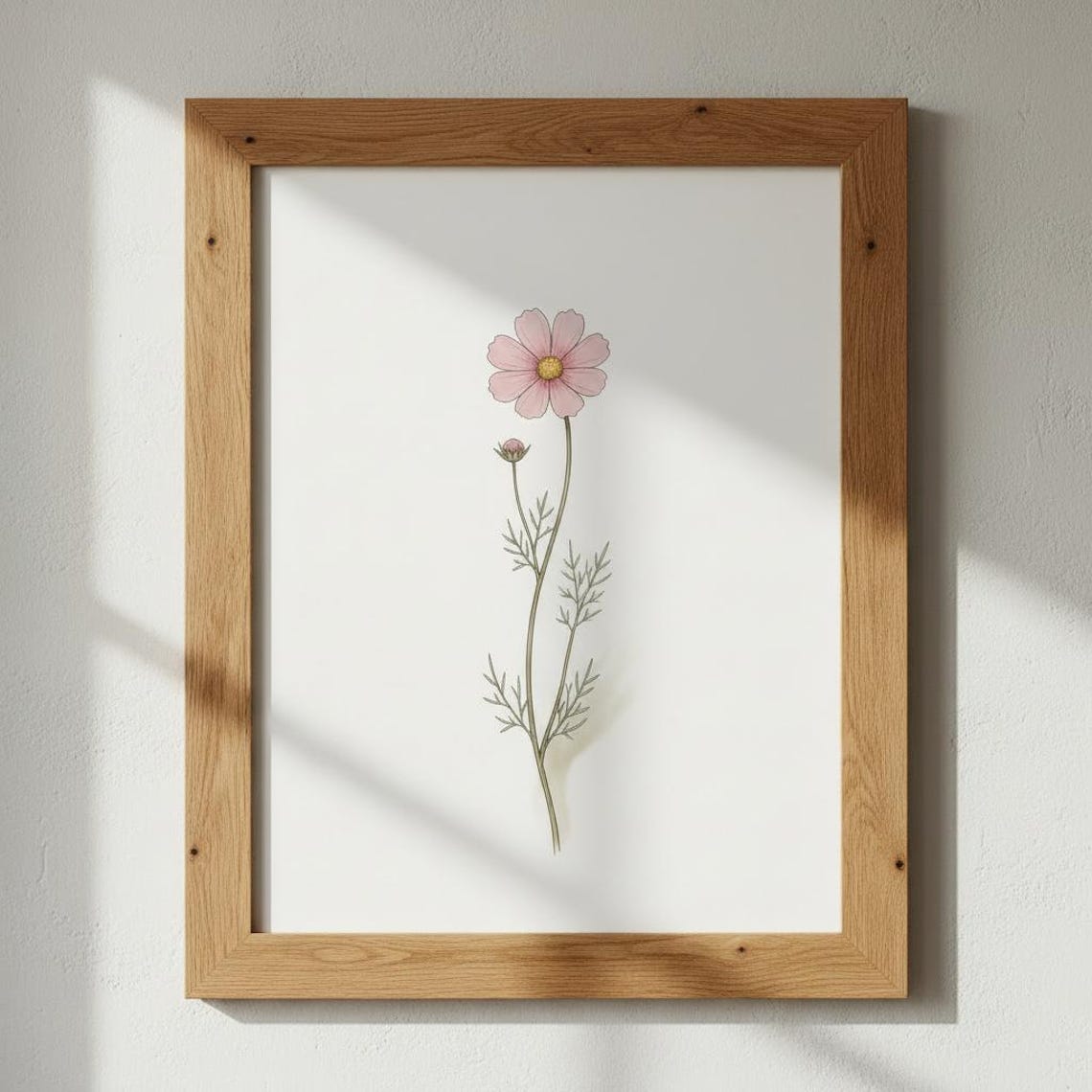 Cosmos Botanical Print Cottage Garden Poster