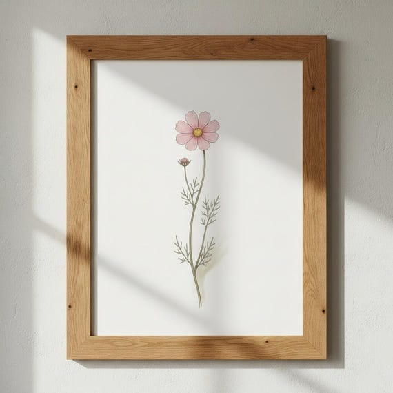 Cosmos Botanical Print Cottage Garden Poster