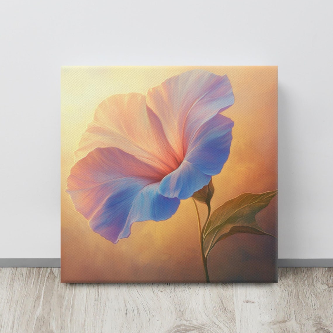 Morning Glory Bloom In Soft Peach Blue Golden Sunrise Poster