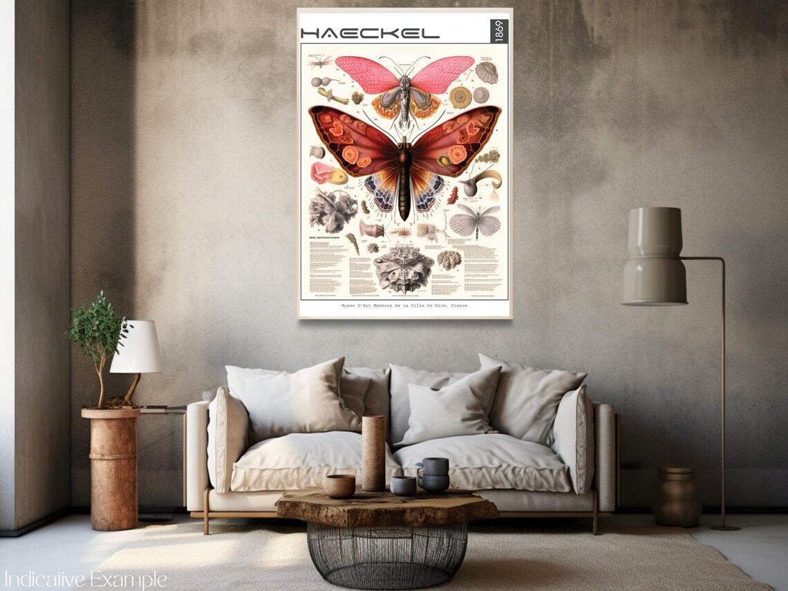 Haeckel 1869 Butterfly Moth Vintage Scientific Illustration Poster - Image 3