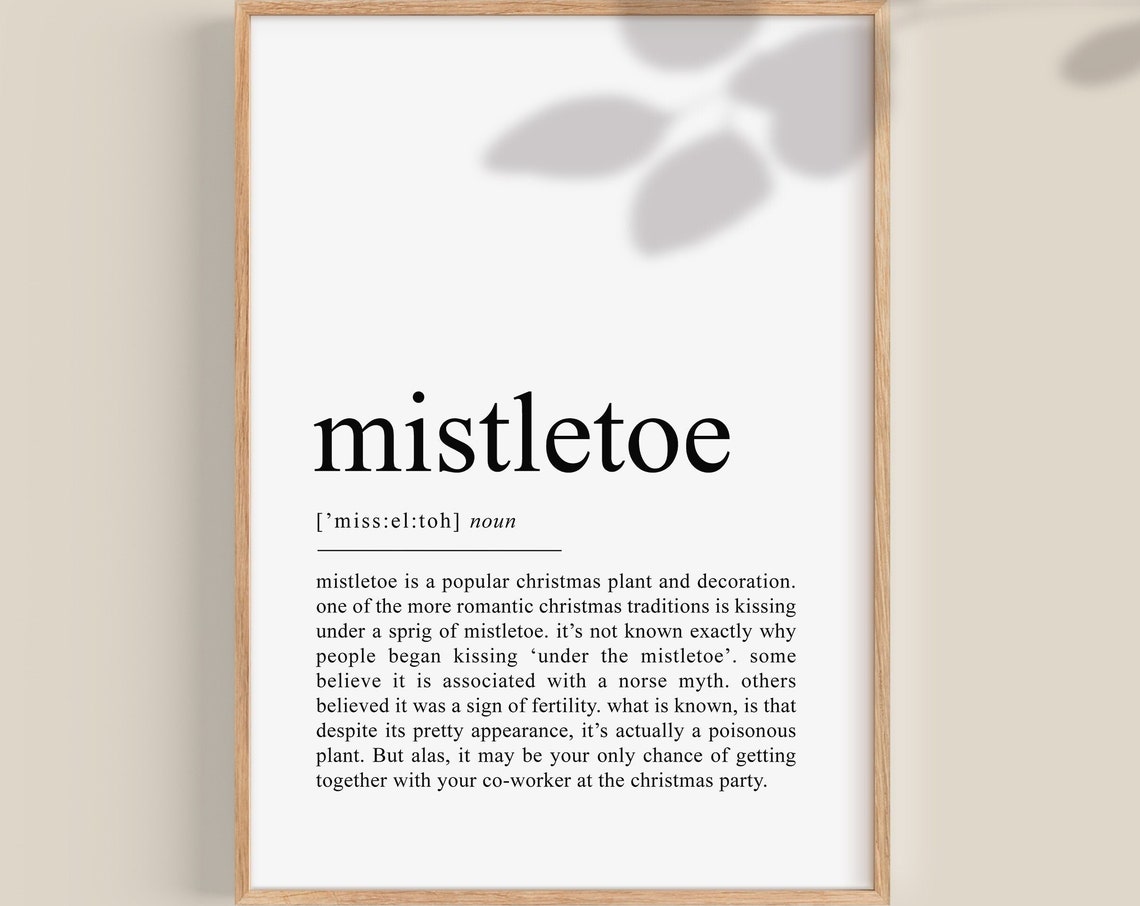 Mistletoe Definition Funny Christmas Typography Decor Art Poster
