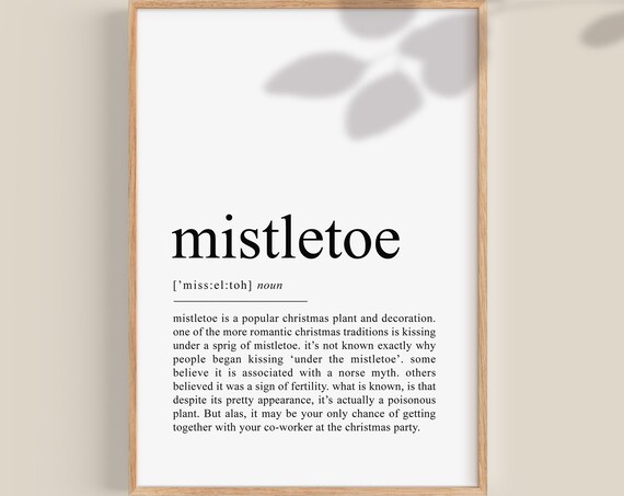 Mistletoe Definition Funny Christmas Typography Decor Art Poster
