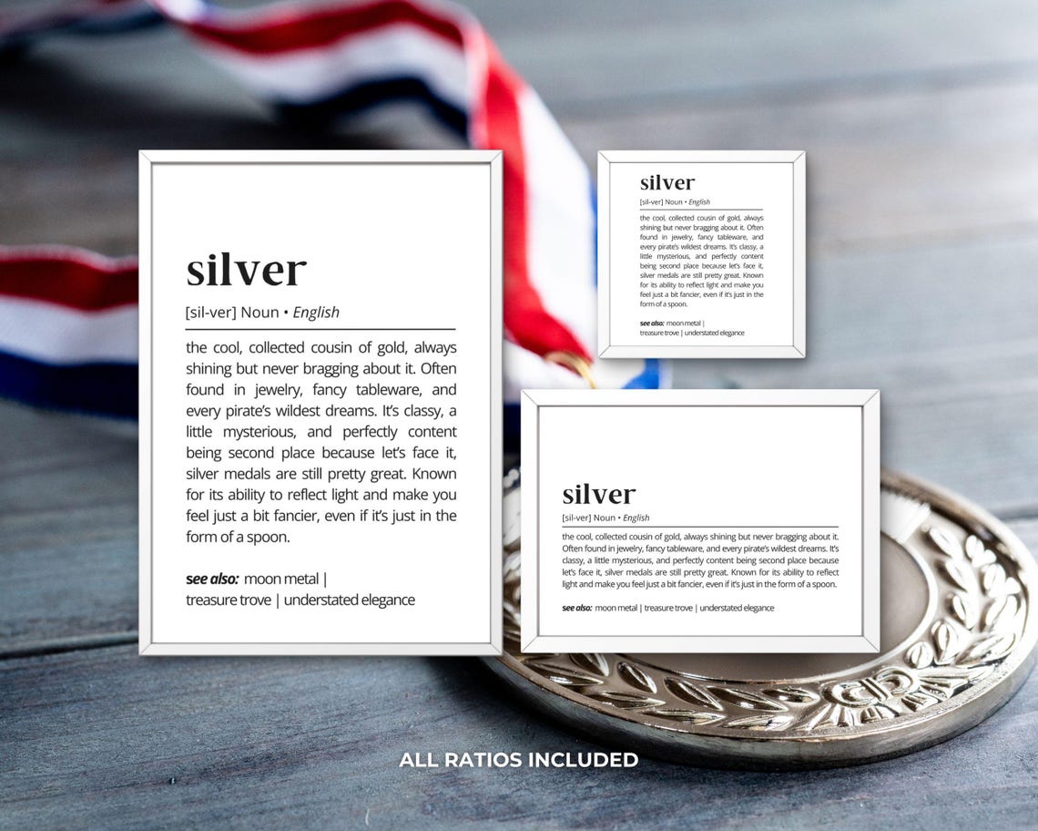 Silver Funny Dictionary Definition Poster Metal Home Decor Gift - Image 3