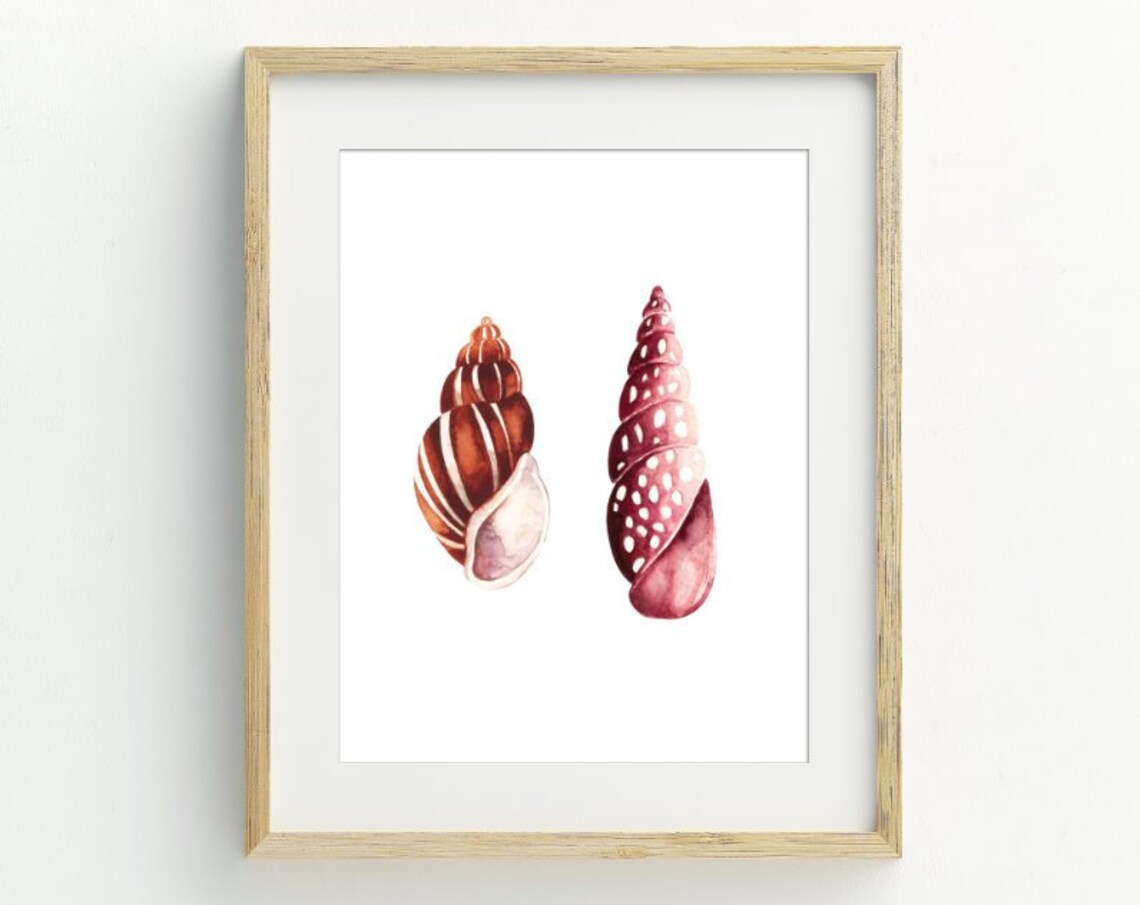 Two Watercolor Seashells Art Print Pink Rust Shells Coastal Beach Wall Decor