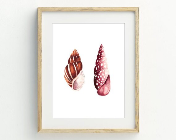 Two Watercolor Seashells Art Print Pink Rust Shells Coastal Beach Wall Decor