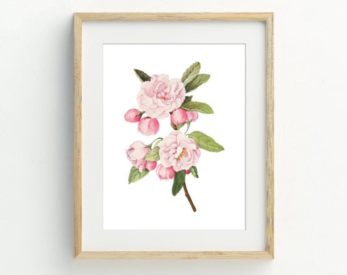 Rose Print, Vintage Floral Wall Art Poster