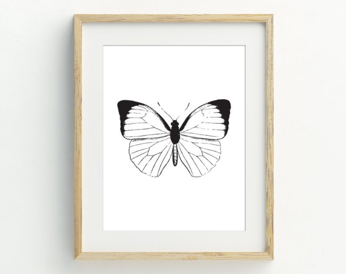 Black White Butterfly Line Art Monochrome Insect Minimalist Art Poster