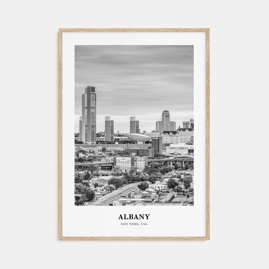 Albany New York Downtown Skyline Black and White Travel Poster