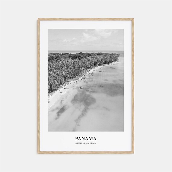 Panama Central America Aerial Palm Island Beach Black White Poster