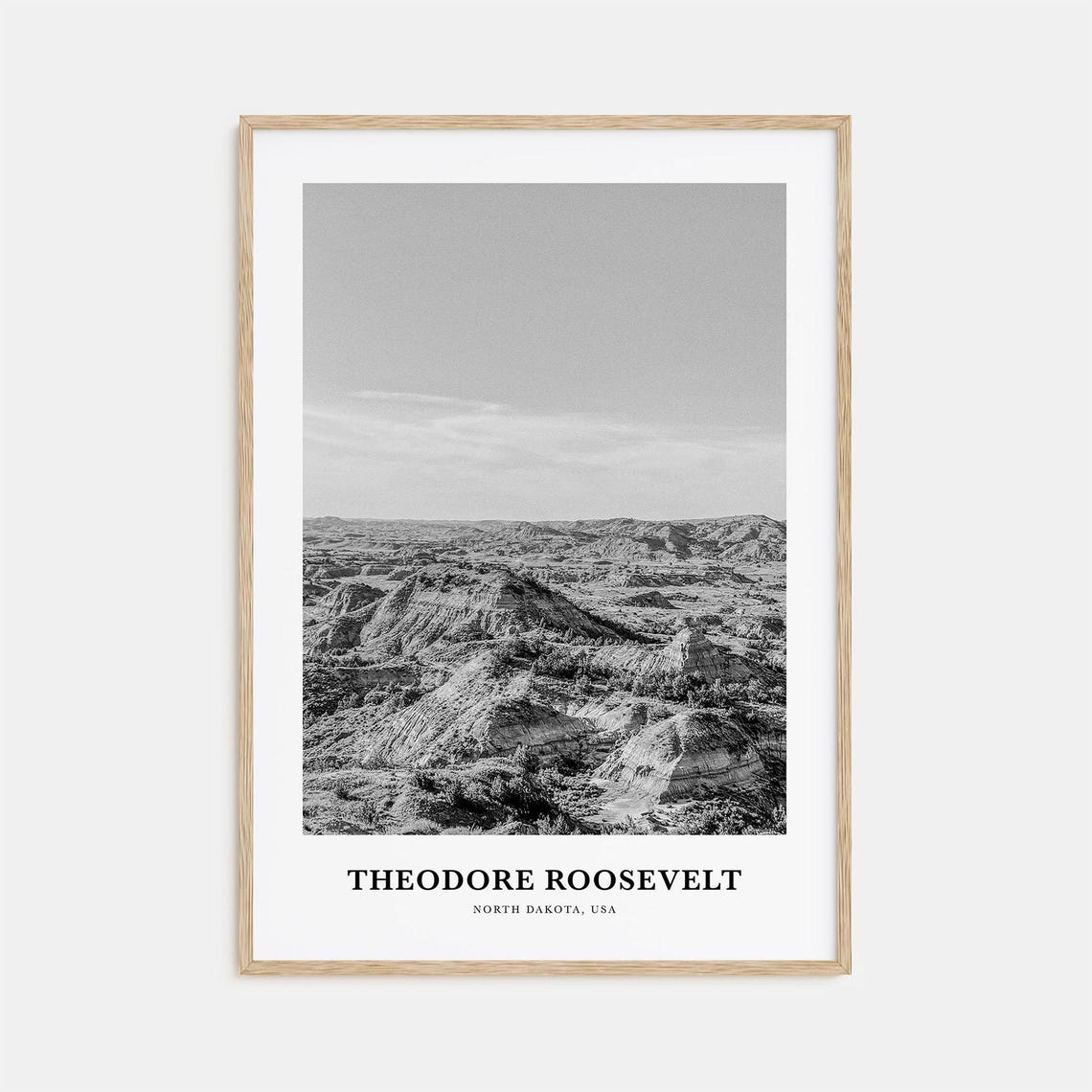 Theodore Roosevelt Badlands Black and White Photography Poster