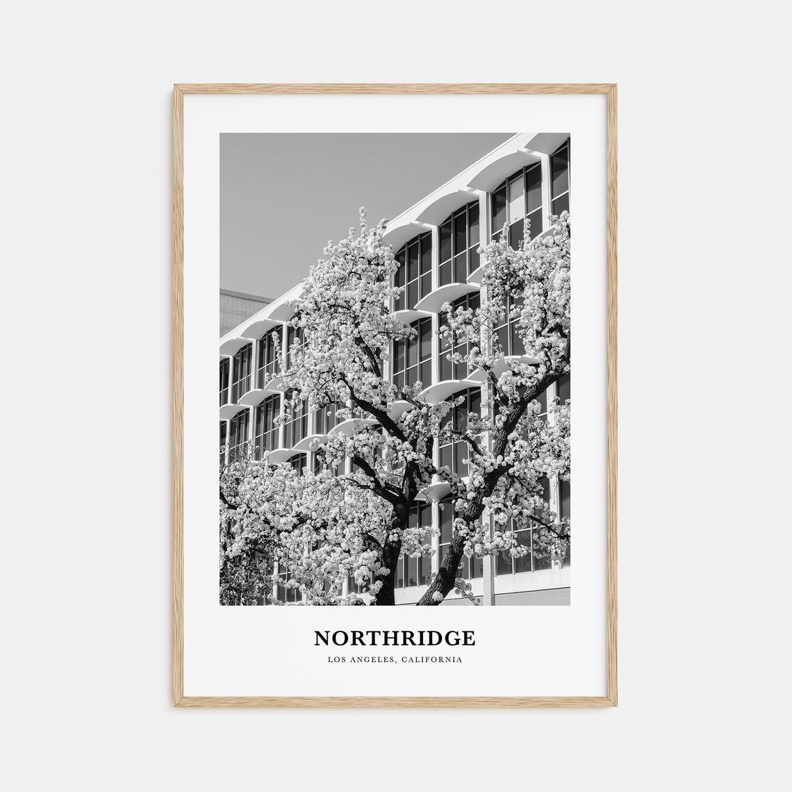 Northridge Los Angeles Flowering Tree Mid Century Building Poster