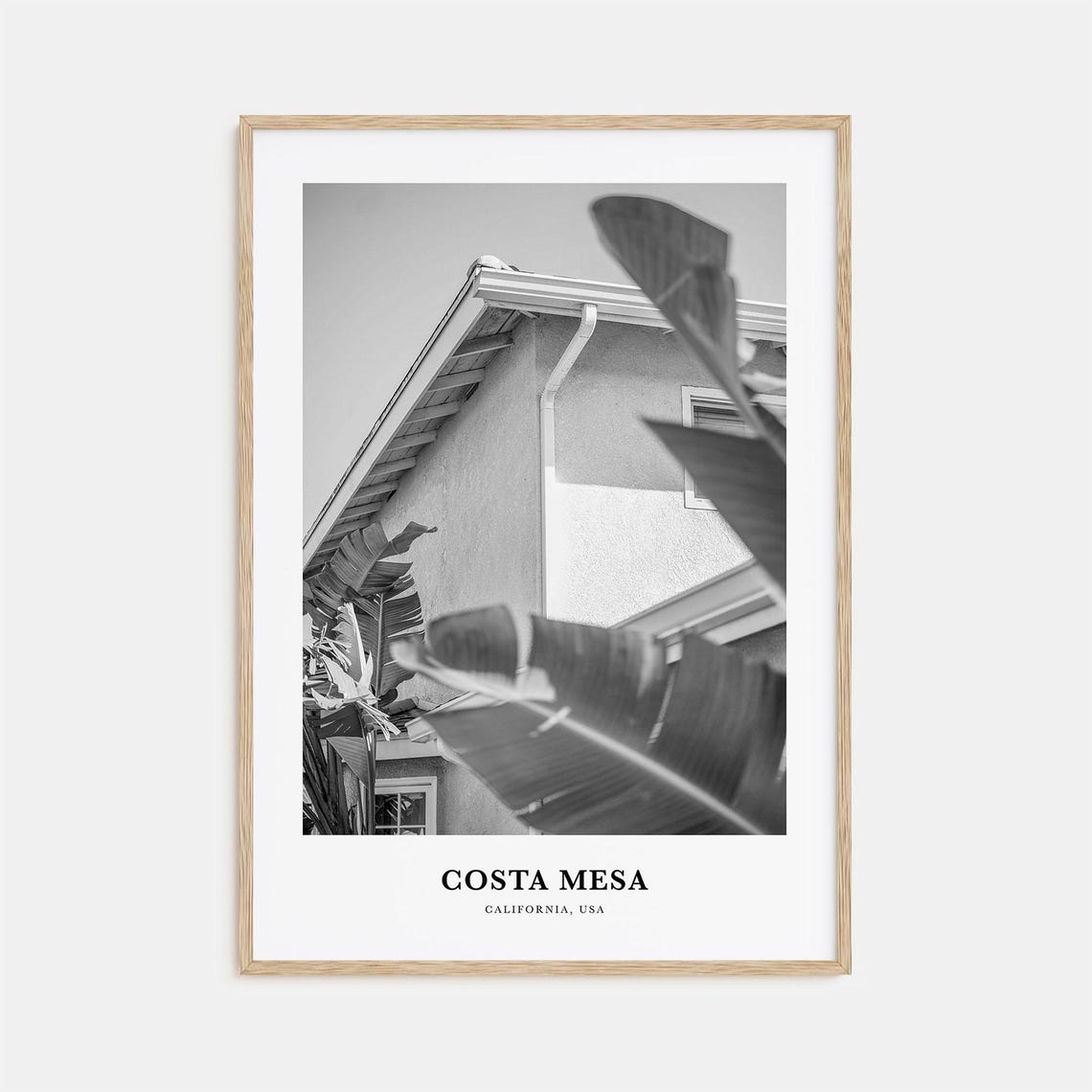 Costa Mesa California Palm Leaves Architecture Black White Poster
