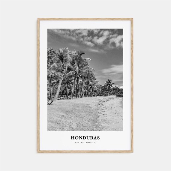 Honduras Central America Tropical Palm Beach Shoreline Poster