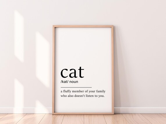 Cat Definition Fluffy Family Member Funny Pet Typography Poster