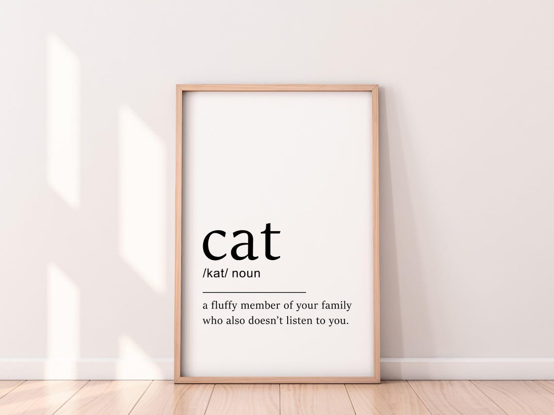 Cat Definition Fluffy Family Member Funny Pet Typography Poster