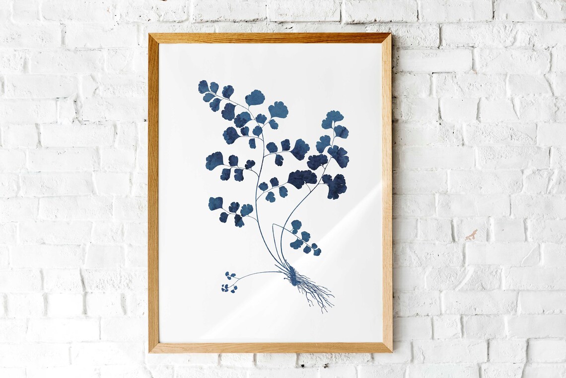 Indigo Blue Maidenhair Fern Watercolor Botanical Roots White Print