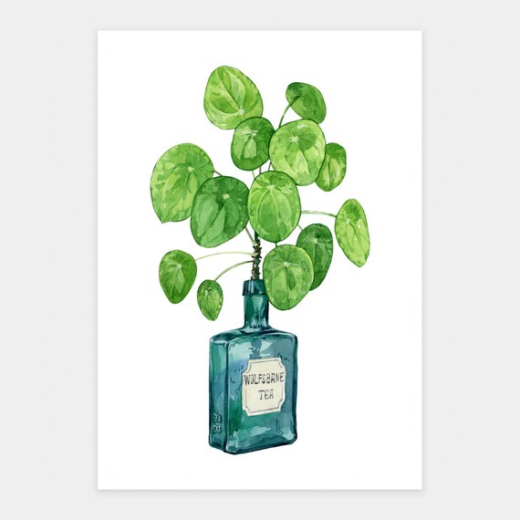 Wolfsbane Tea Poster Houseplant Lover Wall Decor Botanical Art Print Watercolor Botanical Plant Witch Plant Lovers Goth Plant Artwork