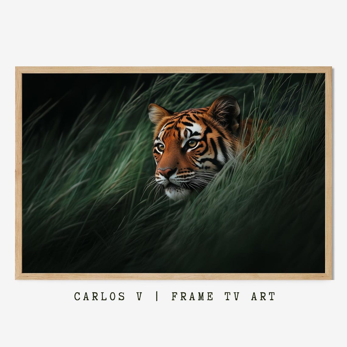Tiger Peering Through Tall Dark Grass Close Up Wildlife Poster