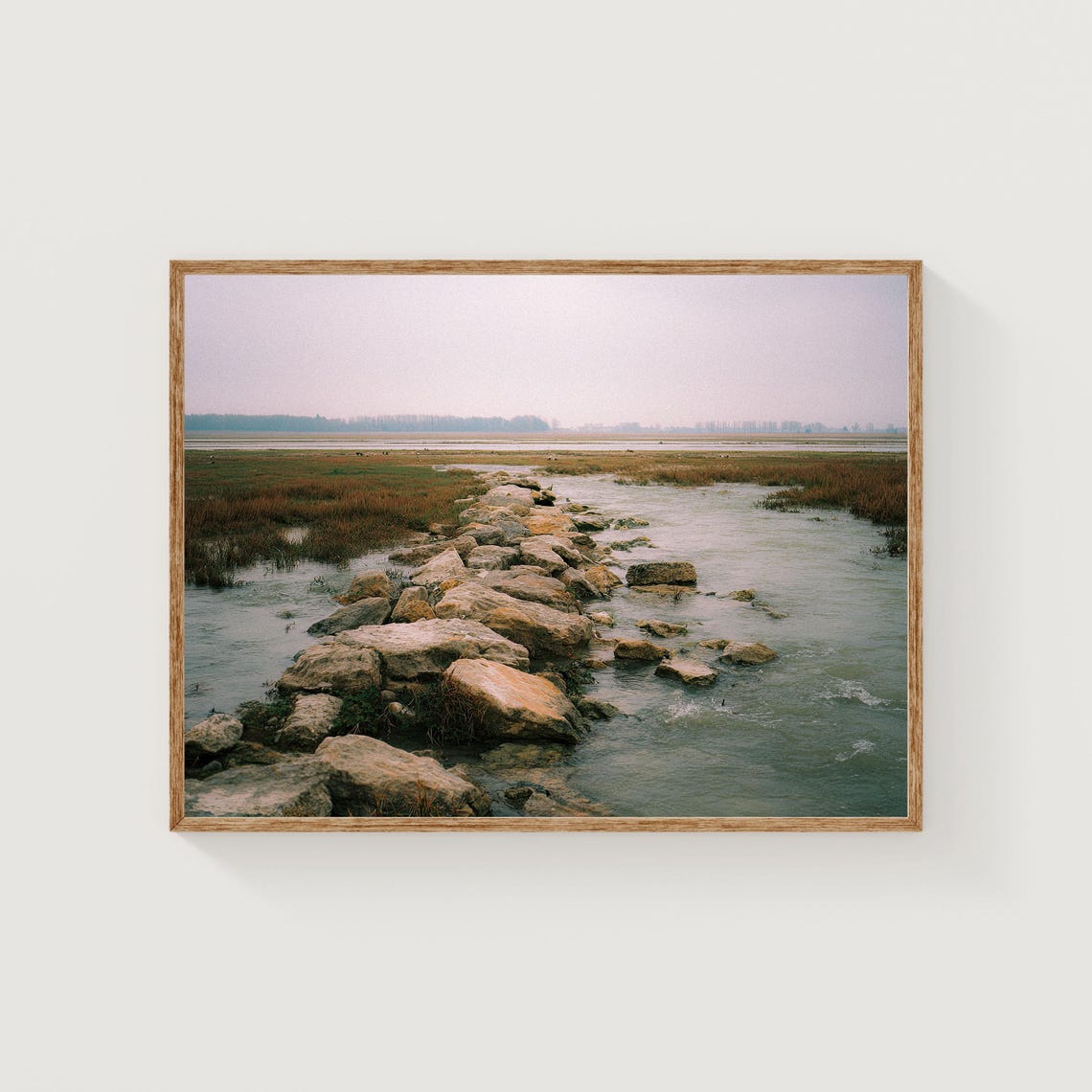 Rocky Creek Flowing Through Misty Marsh Quiet Landscape Poster