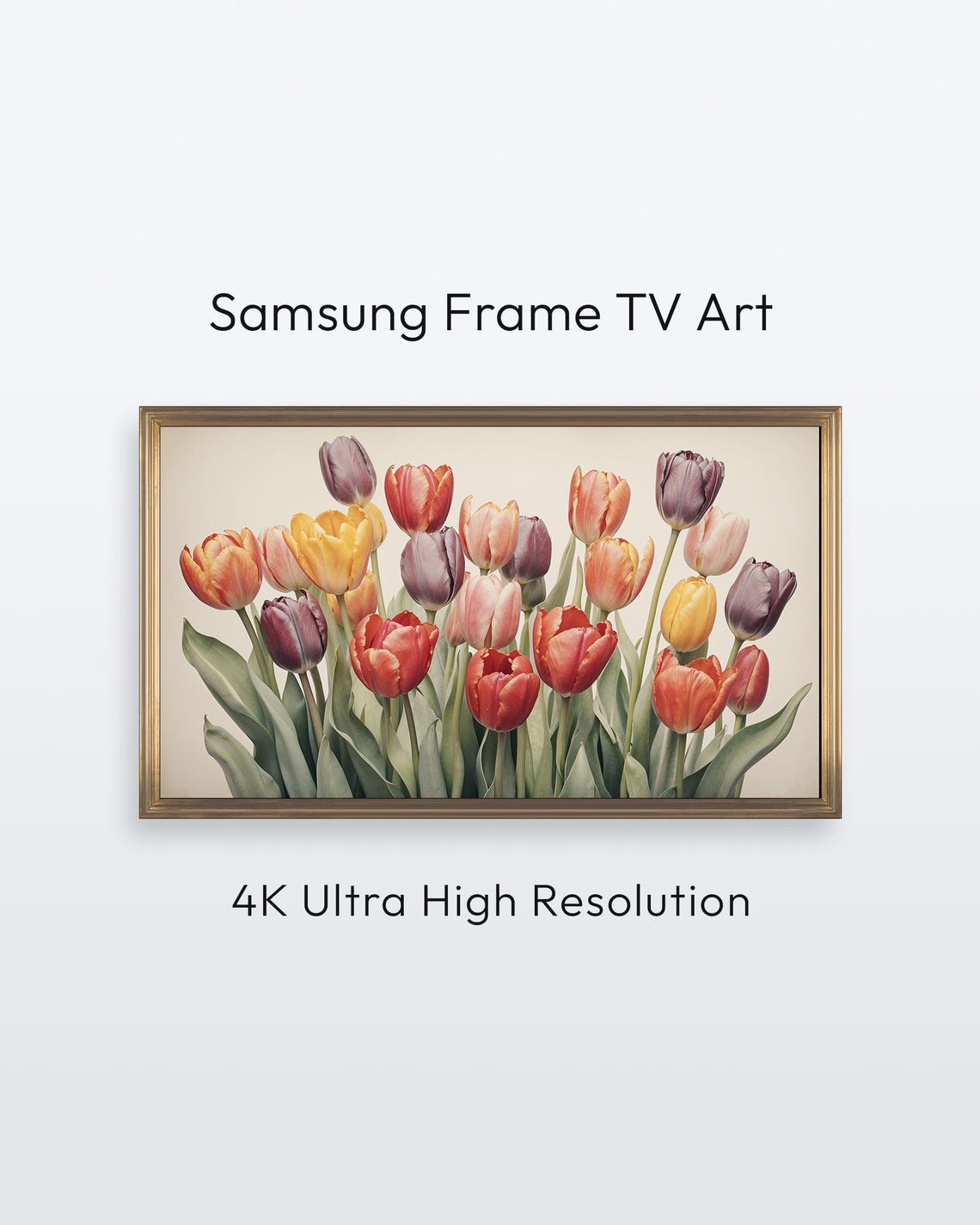 Spring Tulips Colorful Bouquet Floral Photo Wall Art for Frame TV