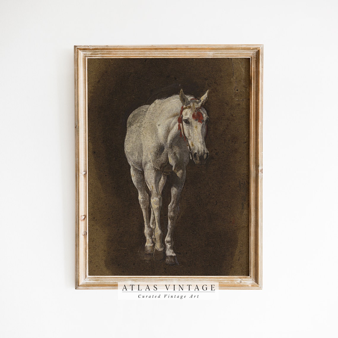 White Horse Portrait Dark Background Equestrian Horse Poster