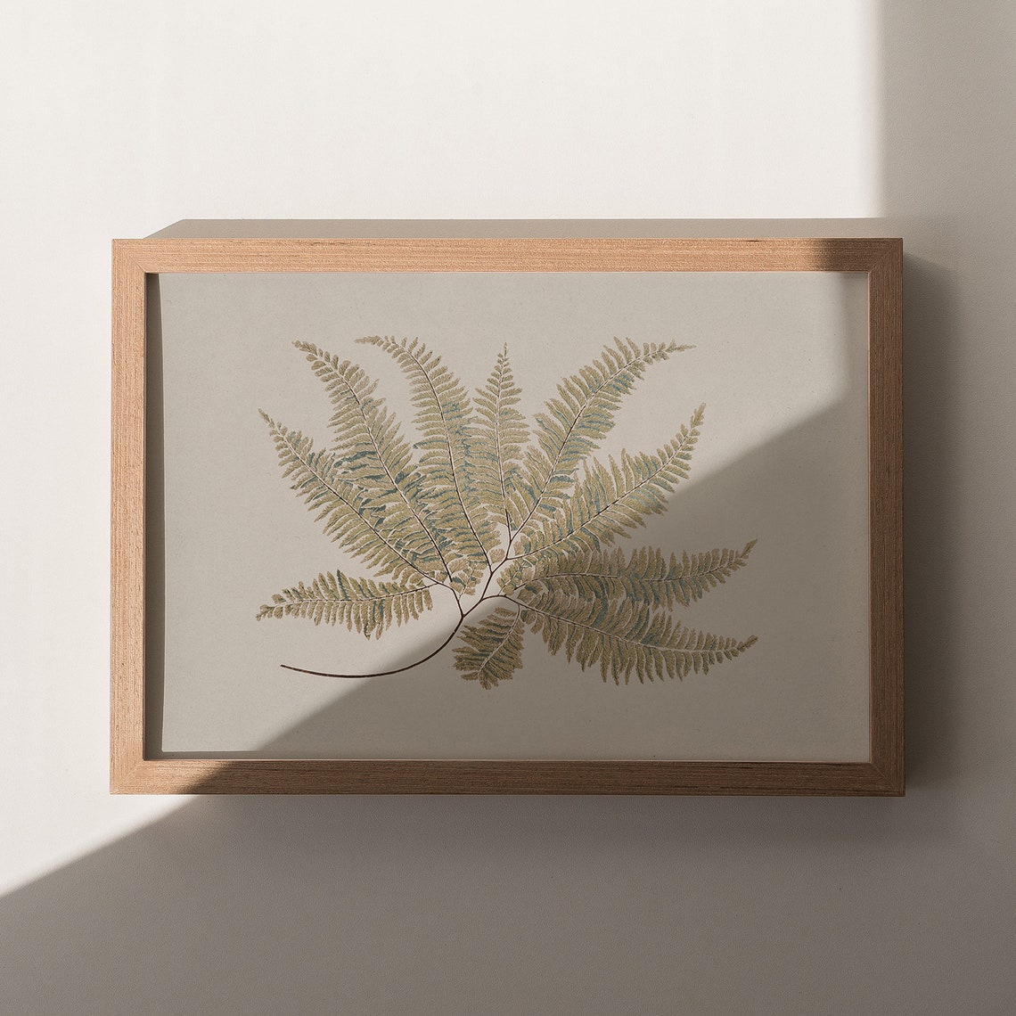 Antique Fern Botanical Study Vintage Green Wall Decor Poster - Image 7
