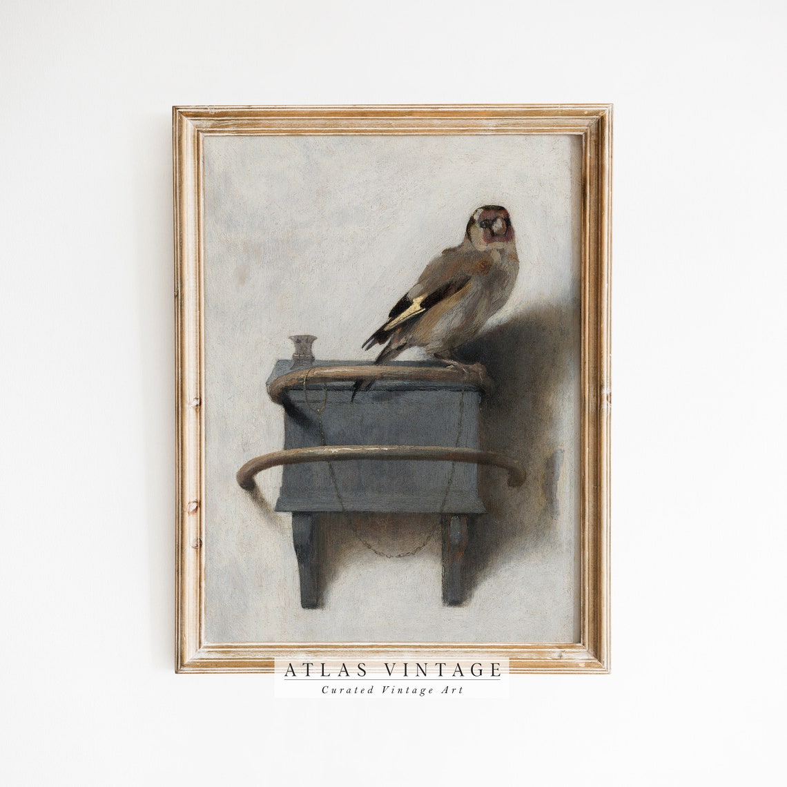 Iconic Goldfinch Perched On Blue Bracket Vintage Bird Portrait Poster