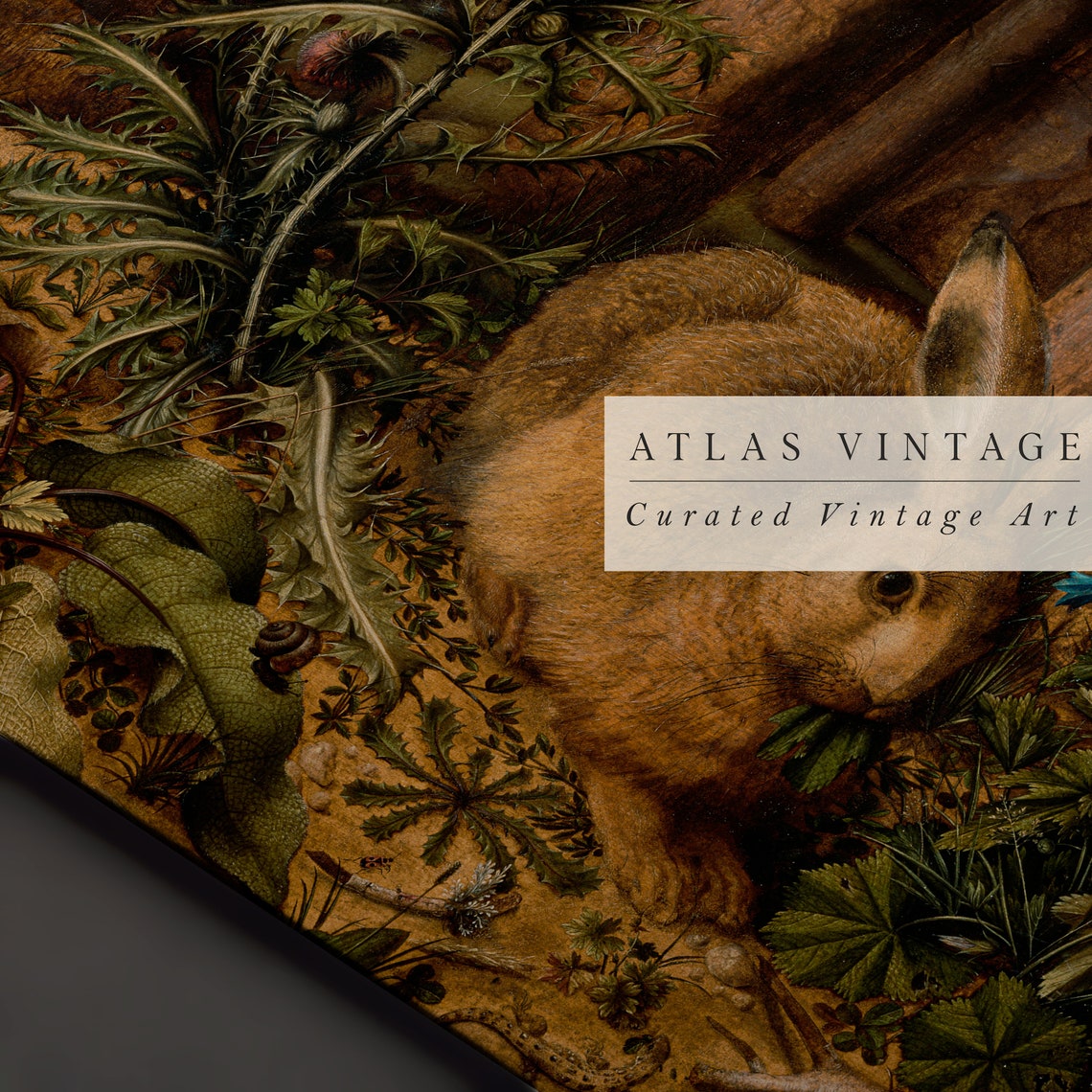 Vintage Hare in Forest Floor Detailed Wildlife Nature Poster - Image 3