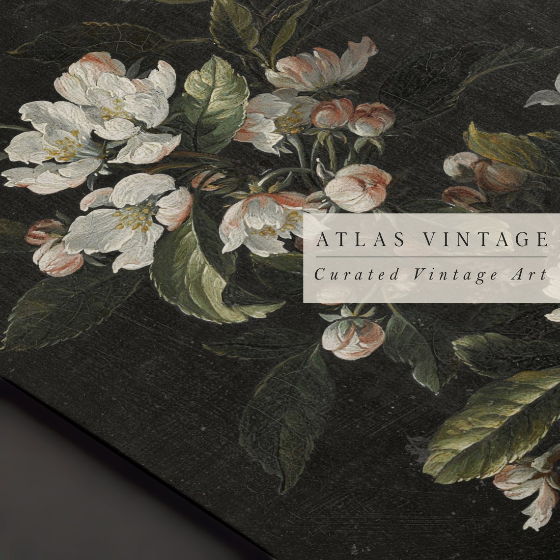 White Apple Blossoms on Dark Background Vintage Botanical Poster - Image 3