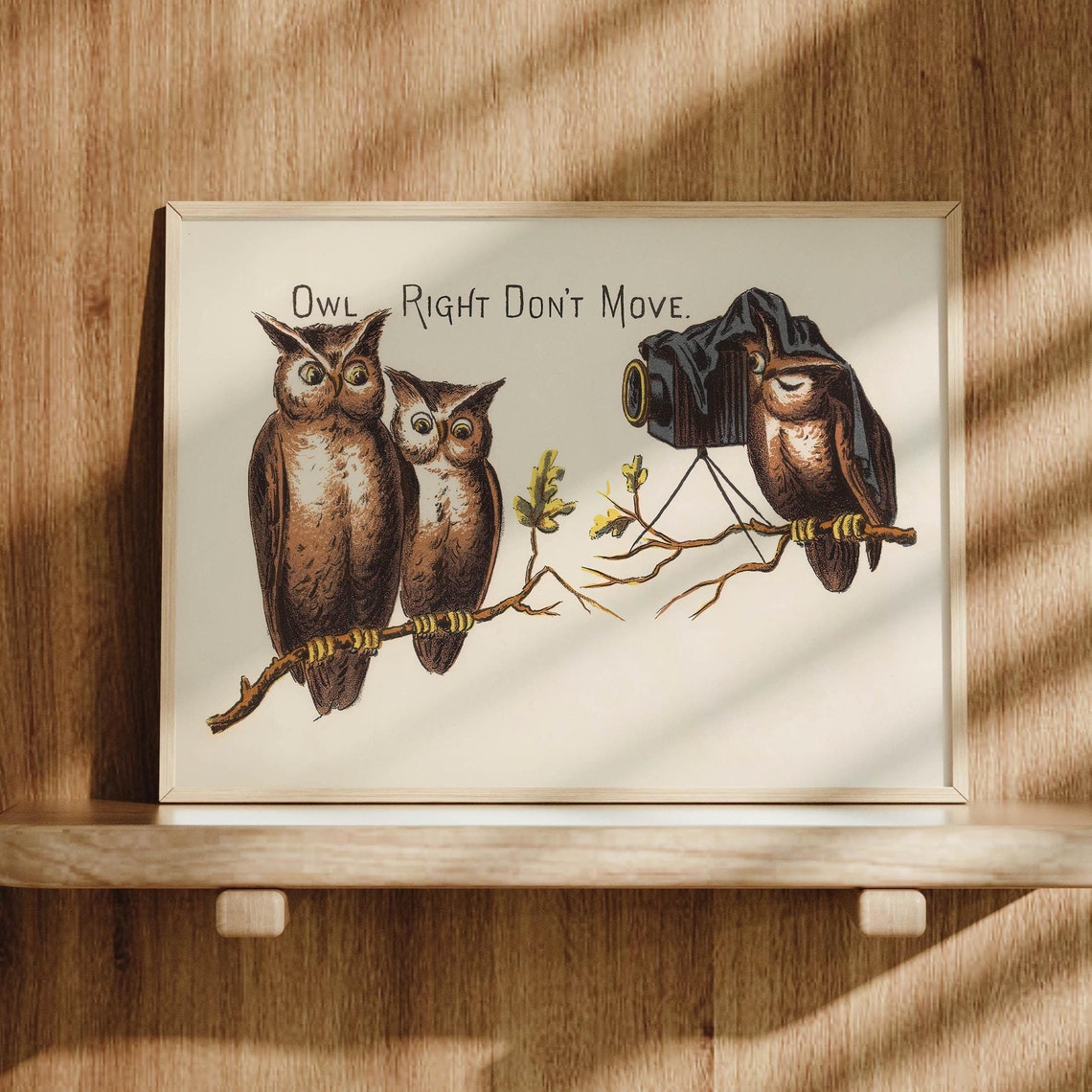Owl Right Dont Move Vintage Funny Owl Camera Photographer Gift Poster