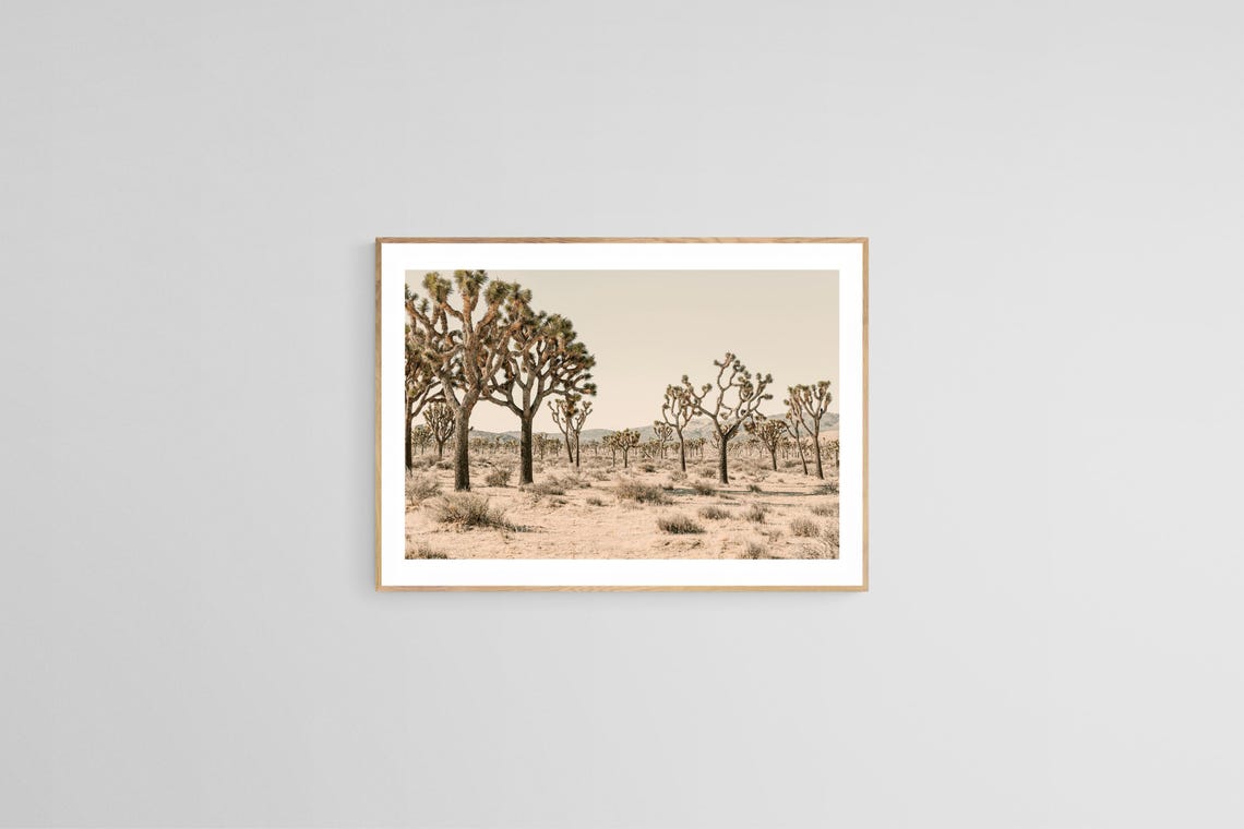 Joshua Tree Photograph, Southwestern Landscape Print