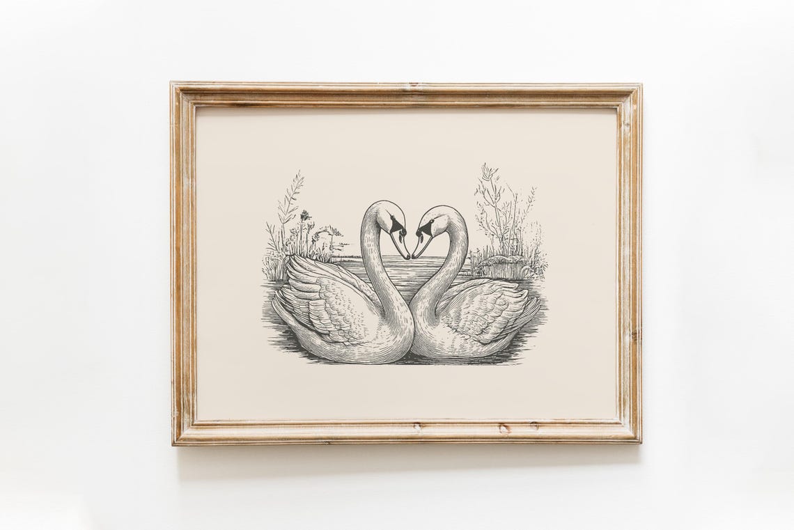 Two Swans Facing Heart Formation Vintage Engraving Love Art Poster