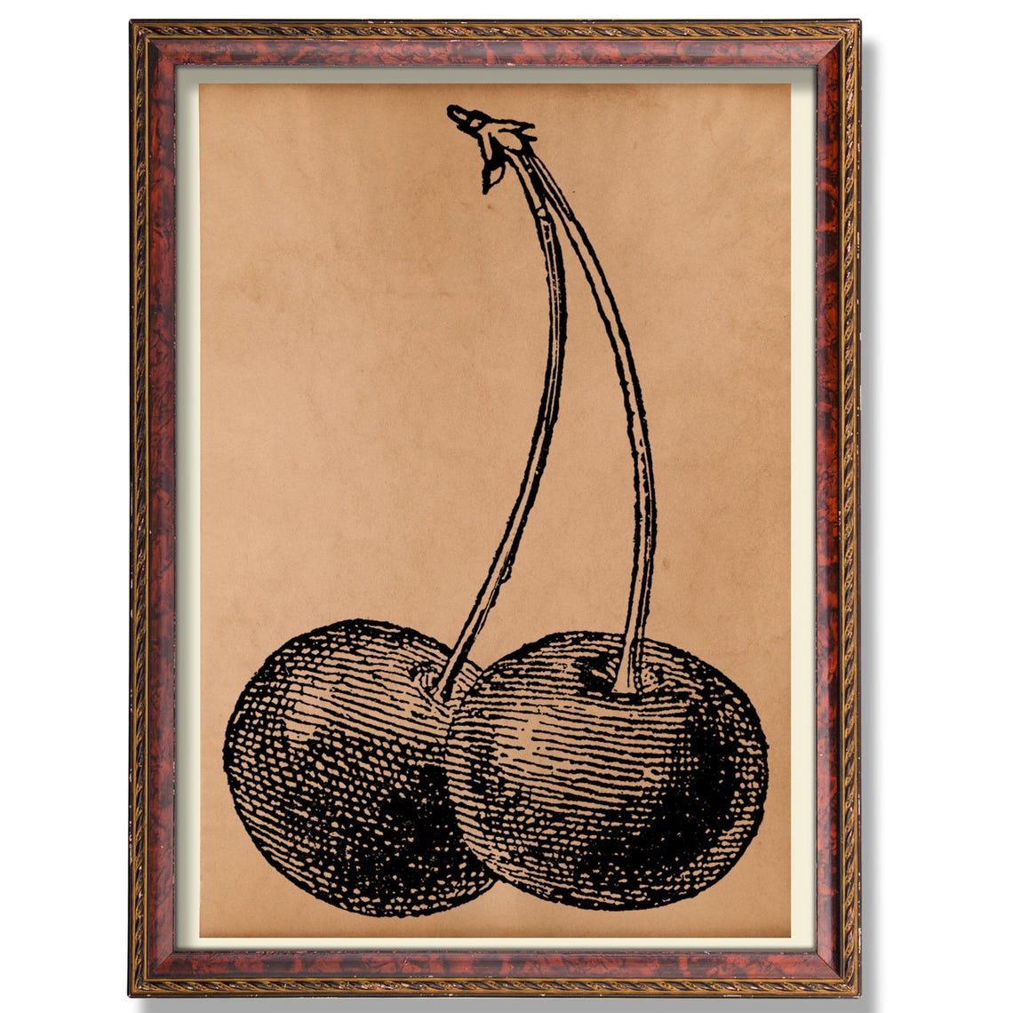 Cherry Botanical Art Vintage Fruit Illustration Antique Kitchen Wall Poster Rustic Garden Decor Decoration