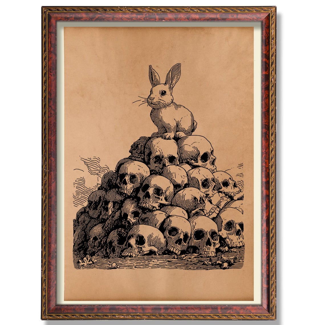 Rabbit On Skulls Anatomical Illustration Poster Vintage Gothic Medical Anatomy Art Print Rustic Oddities Wall Decor