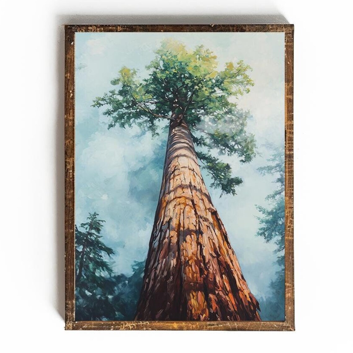 Redwood Tree Print California Redwood Art Redwood National Park Poster National Park Poster Vintage Redwood Tree Botanical Print