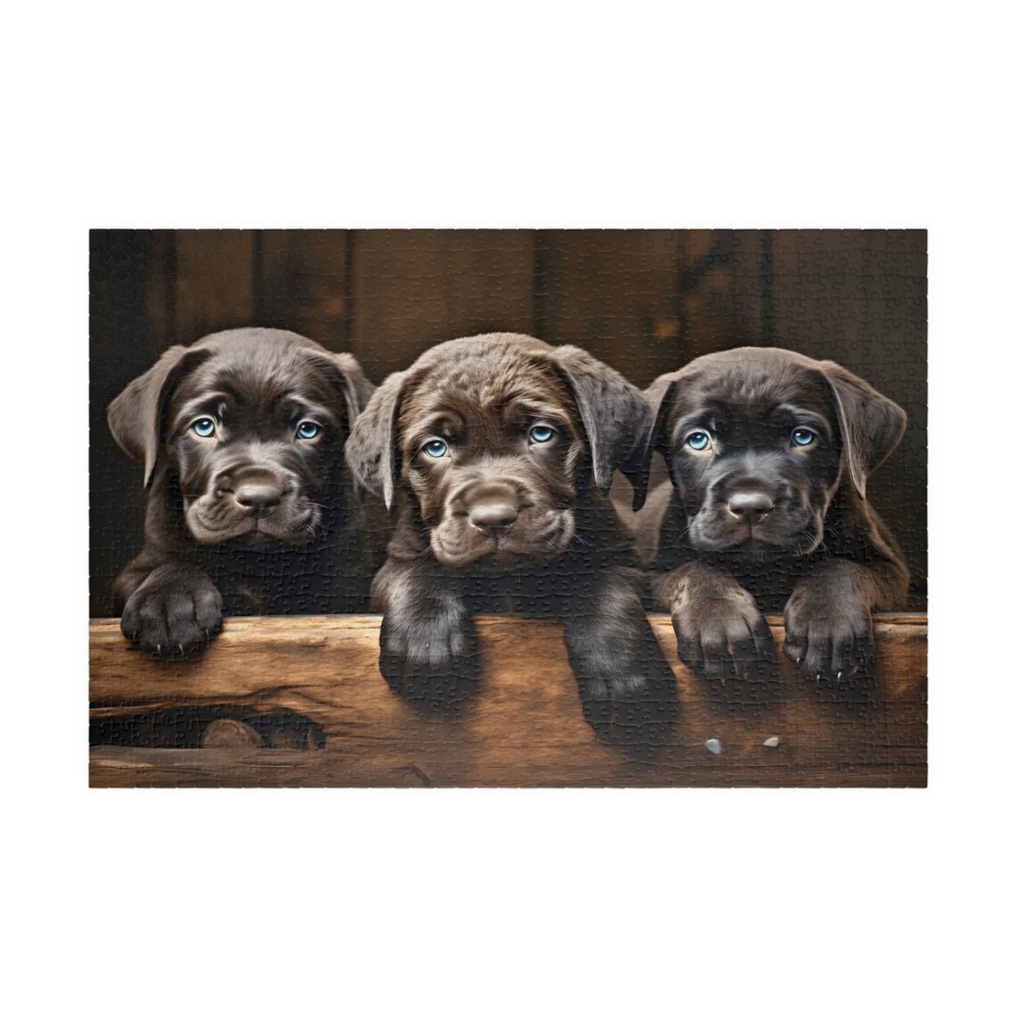 Three Adorable Chocolate Labrador Puppies Cute Dog Trio Poster - Image 3