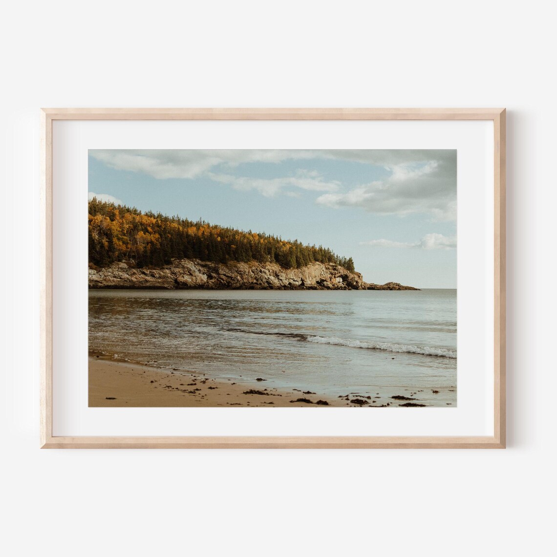 Bar Harbor Maine Rocky Coastline Autumn Shoreline Scenic Poster