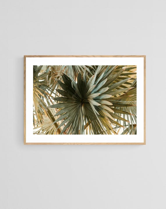 Palm Tree Print, Spring Break Tropical Art