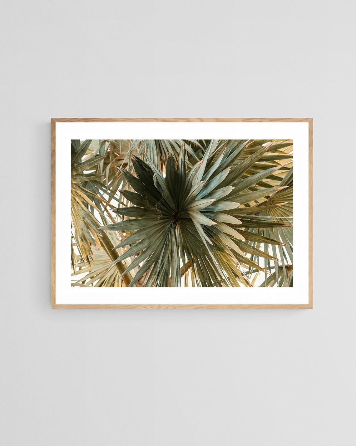 Palm Tree Print, Spring Break Tropical Art